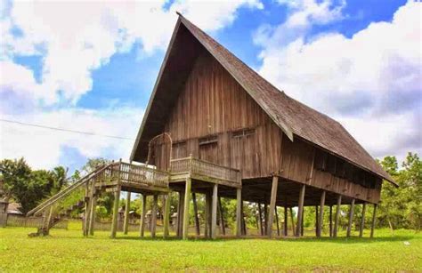 Banyak yang Menarik, Yuk, Kenali Lebih Dekat Rumah Adat Suku Dayak