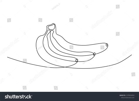 Banana Bunch Continuous Line Art Drawing Stock Vector (Royalty Free ...