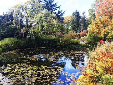 Reader pictures of Autumn in Merseyside - Liverpool Echo