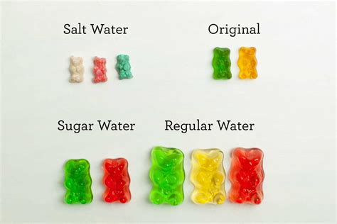 Why Do Gummy Bears Shrink in Salt Water