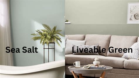 Liveable Green Vs. Sea Salt: Unveiling The Perfect Paint Colors For ...