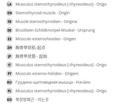 Sternothyroid muscle - Origin - vet-Anatomy - IMAIOS