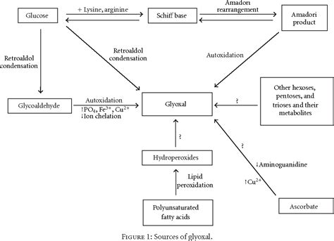 Figure 1 from Glyoxal Formation and Its Role in Endogenous Oxalate ...