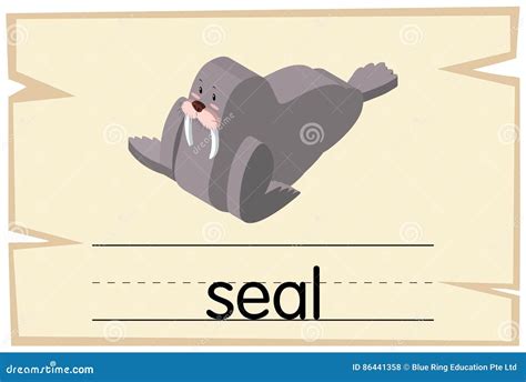 Wordcard design for seal stock vector. Illustration of spelling - 86441358