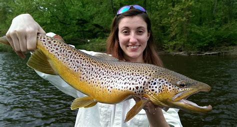 Trout Fishing On A River - Unoisy Fishing