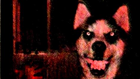 Smile Dog Creepypasta Wallpapers - Wallpaper Cave