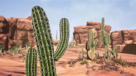 Jungle and Desert Foliage Bundle Pack in Environments - UE Marketplace