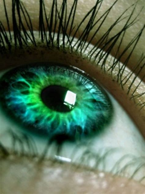 green eyes - People With Green Eyes Photo (24760259) - Fanpop