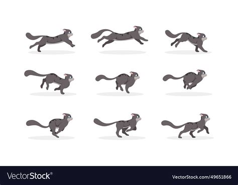 Cat run cycle animation frames Royalty Free Vector Image