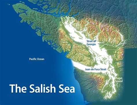 The Salish Sea. | Pacific northwest, Victoria vancouver island, Puget sound