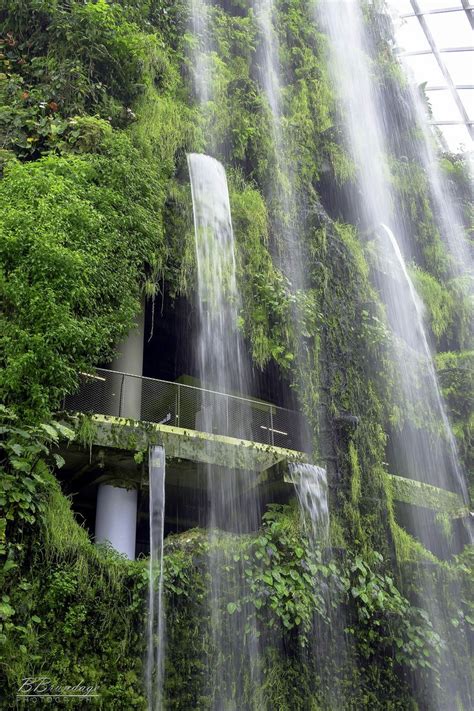 Five Story Waterfall Cloud Forest Dome Rainforest Exhibit Singapore 02 ...