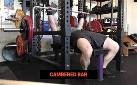 7 Different Types of Bench Press Bars & Their Uses ...