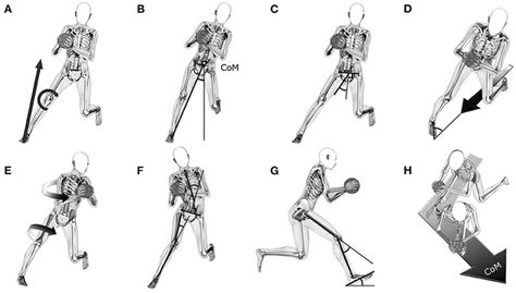 Frontiers | Athletes with high knee abduction moments show increased ...