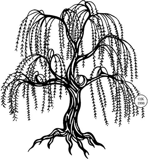 Weeping willow Tree Rendering - tree png download - 500*500 - Free ...