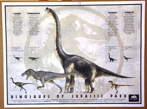 Size chart for the JP dinosaurs and alternate color scheme of ...