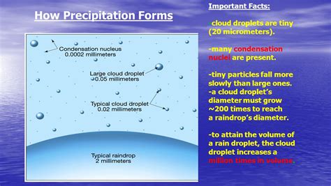 5 Types Of Precipitation