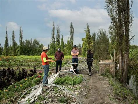 Chinampas: Living an ancient culture - Airbnb in 2022 | Ancient ...