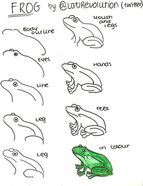 How To Draw A Cartoon Frog | Images and Photos finder