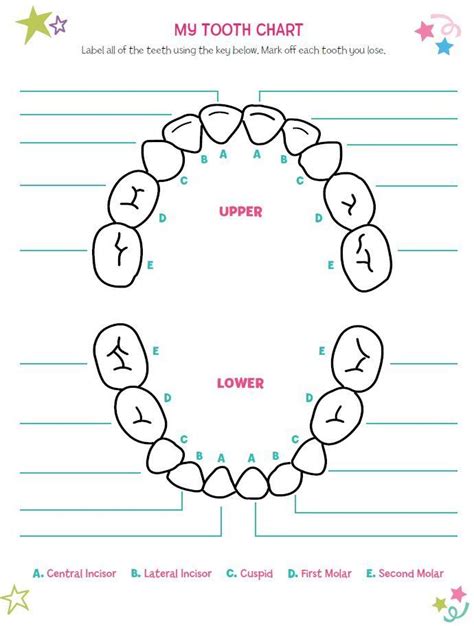 Pediatric Tooth Chart Letters