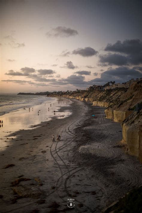 Del Mar Dog Beach | Dog beach, Beach, Del mar