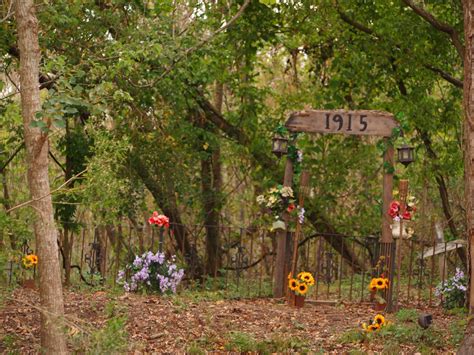 I Heart My Pen: Photography (and other animals): Haunted Swamp, Louisiana