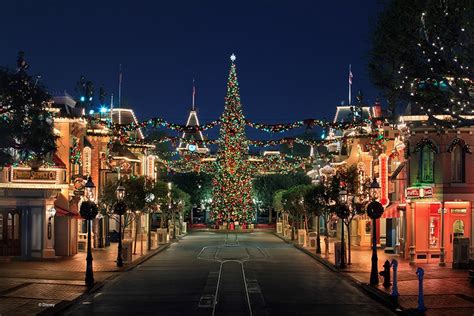 Christmas Trees of the Disneyland Resort | Disney Parks Blog