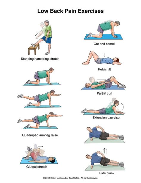 Low back exercises — Knotry