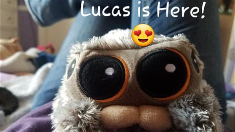 Lucas The Spider Plushie Has Arrived! - YouTube