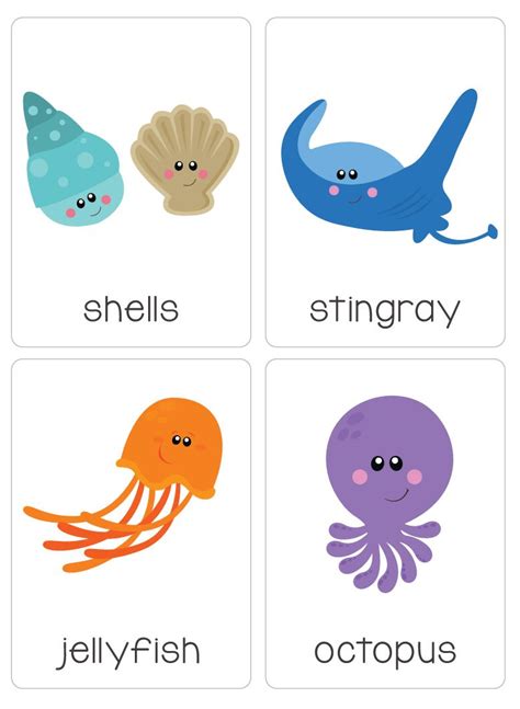 Ocean Animals Flashcards How We Make Flash Cards | Topazbtowner