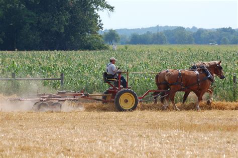 Slow Farming Tools