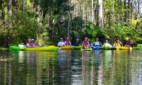 Kayak Guided Tours in Silver Springs | GetMyBoat