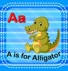 Alligator Flashcard Vector Images (95)