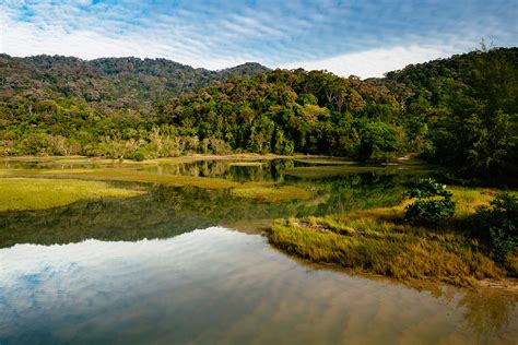 Penang National Park | Tour & Incentive Travel