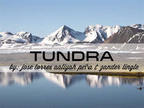 Biome Tundra Project by Jose Torres