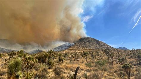 California’s Largest Wildfire of the Year Sweeps Across the Mojave ...