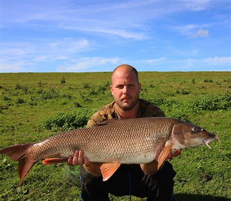 Lost monster made up for with this giant barbel - Angler's Mail