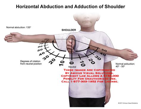 Abduct Anatomy - Anatomy Reading Source