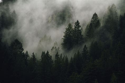 Foggy Landscape Wallpapers - Top Free Foggy Landscape Backgrounds ...