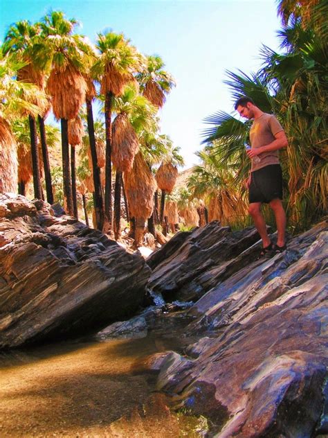 Hiking Palm Springs: Indian Canyons and the oasis in the desert