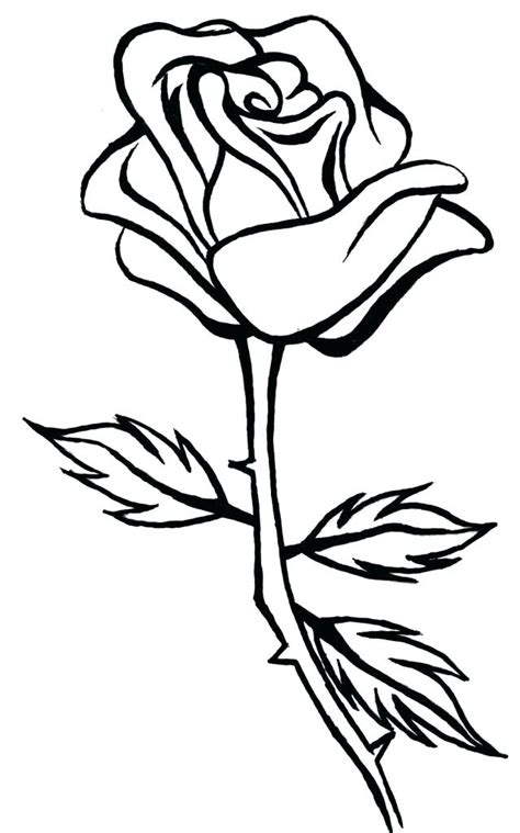 Rose Line Drawing at PaintingValley.com | Explore collection of Rose ...