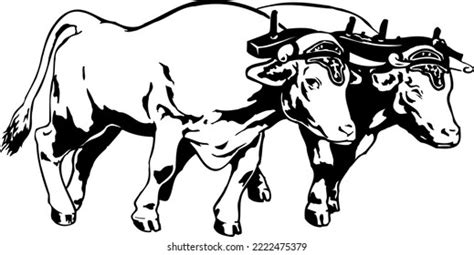 685 Yoke Oxen Images, Stock Photos, 3D objects, & Vectors | Shutterstock