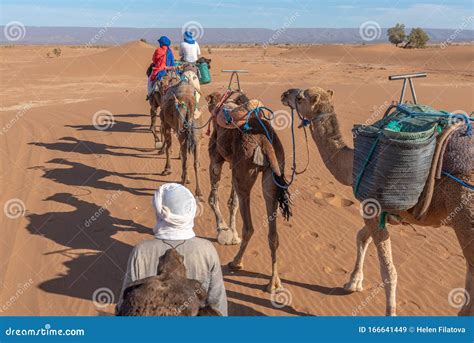 Camel Ride in Sahara Desert Editorial Stock Image - Image of sahara ...