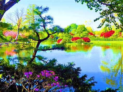 Paintings-of-Artists-Original-Unusual- Art: Painting Of Japanese Garden