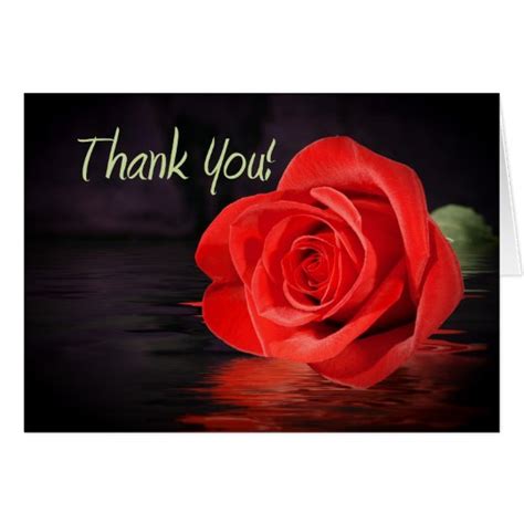 Red Rose Thank You Card | Zazzle