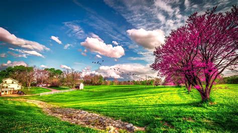 Landscape beautiful spring nature -. Spring Wallpapers. Seasons ...