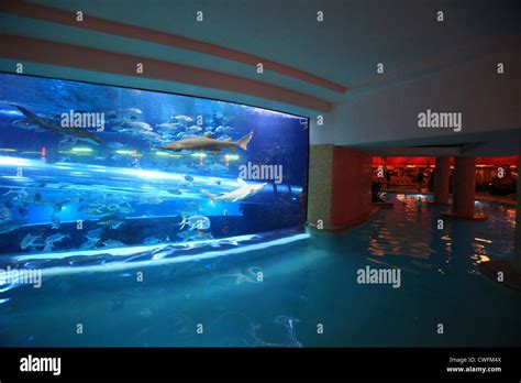 Shark tank slide and pool in Golden nugget casino hotel in Las Vegas ...