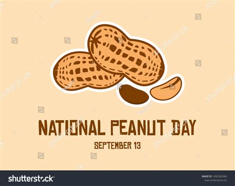 National Peanut Day Vector Peanut Vector Stock Vector (Royalty Free ...