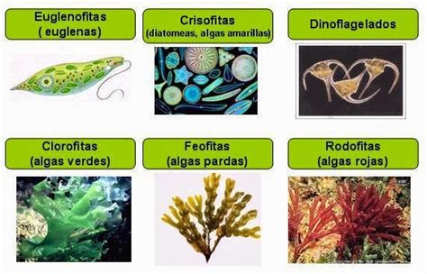 Desde las gavetas de mi escritorio: febrero 2015