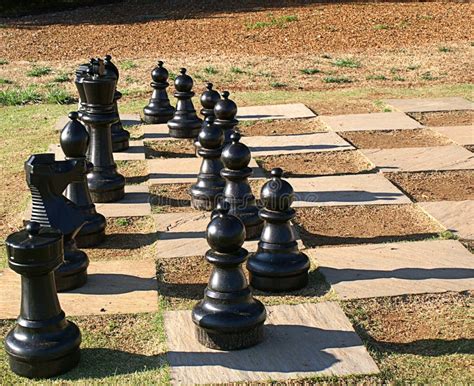 Lawn Chess Set stock image. Image of king, play, garden - 39963043