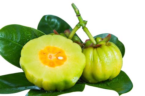 Does Garcinia Cambogia Work: An Honest Review - Ritely